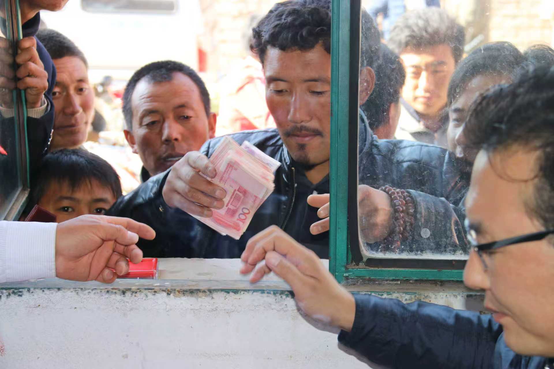 甘南—中国牦牛乳都纪实 生态为基，政企同心共筑产业高地