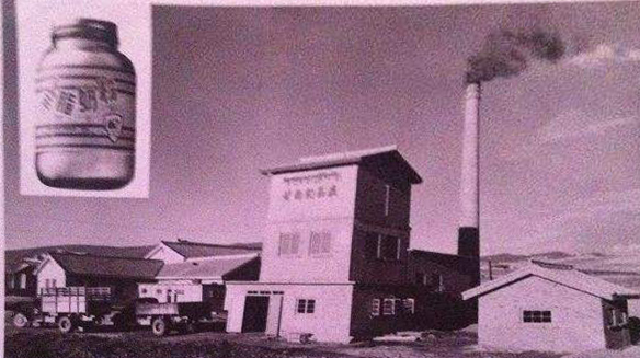 老照片里的新征程：1953年的那颗火种，如何点亮了今天？