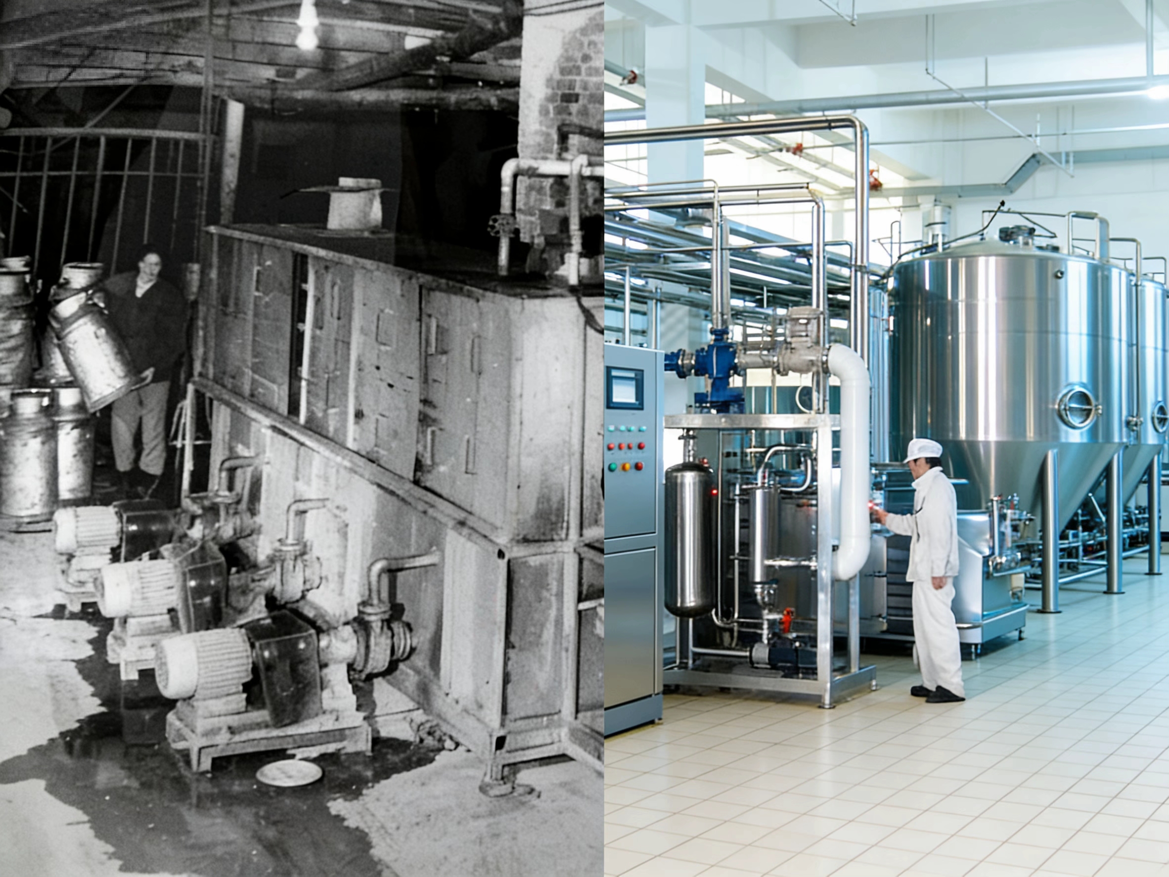 “中国牦牛乳品开拓者”燎原乳业发展史：中国牦牛乳产业的开拓历程